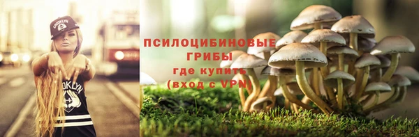 бошки Баксан