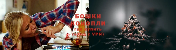 соль ск Белокуриха