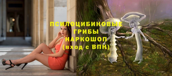 мдпв Беломорск