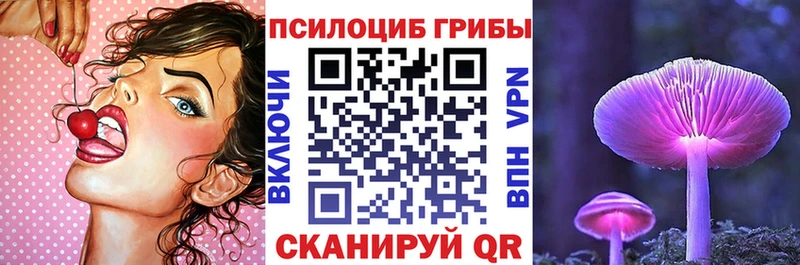 Купить закладки  Навашино  Галлюциногенные грибы мицелий 