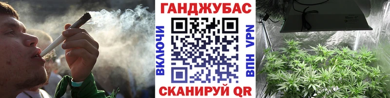 Купить где  Навашино  Конопля семена 